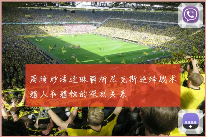 周琦妙语连珠解析尼克斯逆转战术猎人和猎物的深刻关系